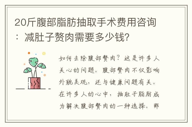 20斤腹部脂肪抽取手術費用咨詢：減肚子贅肉需要多少錢？