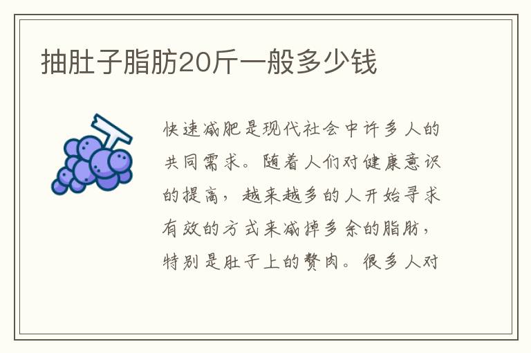 抽肚子脂肪20斤一般多少錢