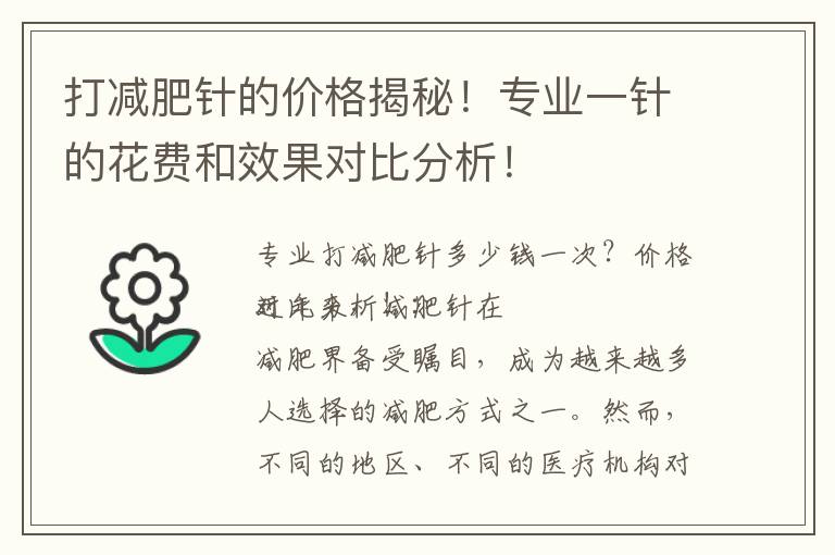 打減肥針的價格揭秘！專業(yè)一針的花費和效果對比分析！