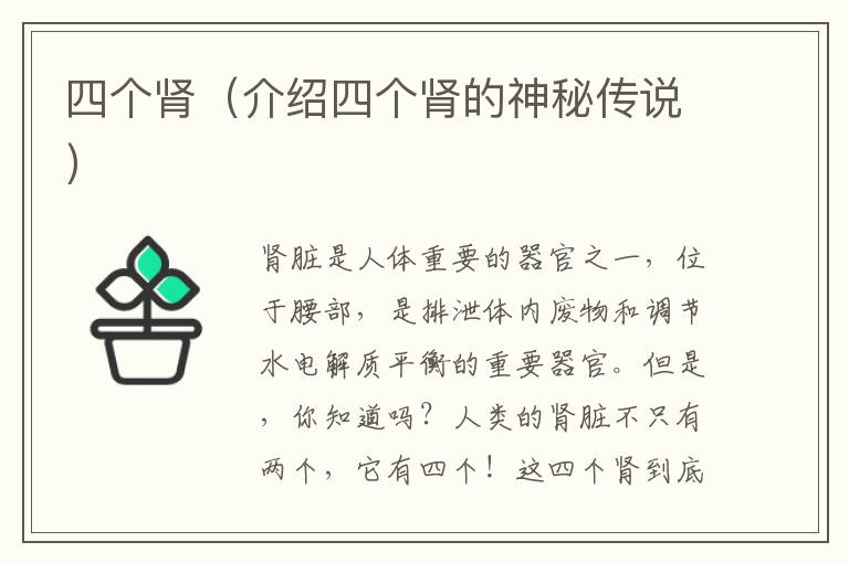 四個腎（介紹四個腎的神秘傳說）