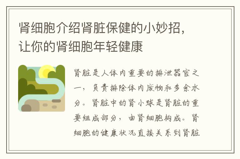 腎細胞介紹腎臟保健的小妙招，讓你的腎細胞年輕健康