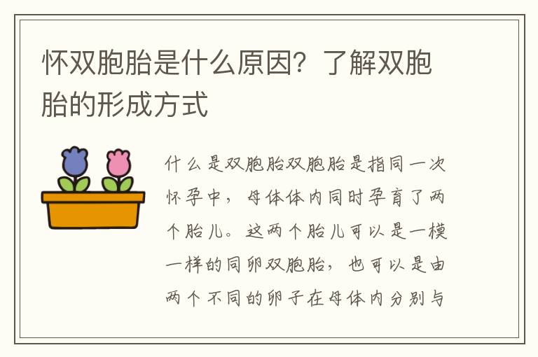 懷雙胞胎是什么原因？了解雙胞胎的形成方式