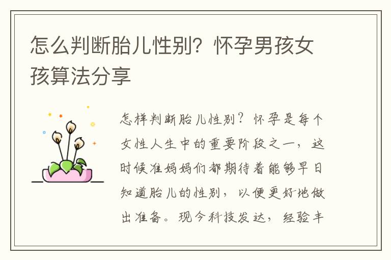 怎么判斷胎兒性別？懷孕男孩女孩算法分享