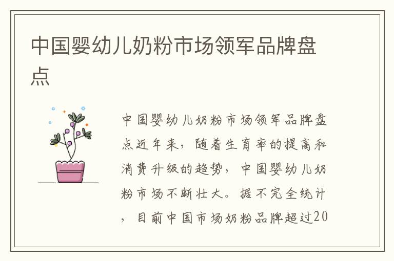 中國(guó)嬰幼兒奶粉市場(chǎng)領(lǐng)軍品牌盤(pán)點(diǎn)