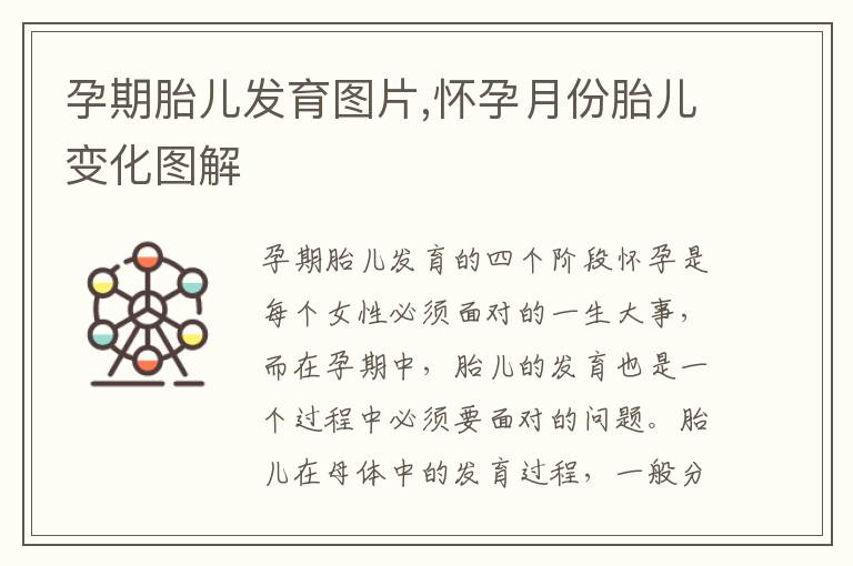 孕期胎兒發育圖片,懷孕月份胎兒變化圖解