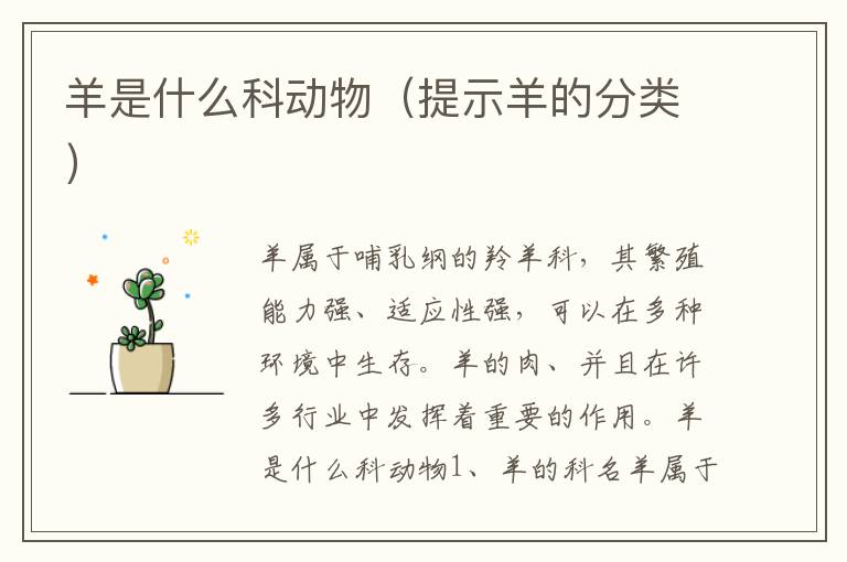 羊是什么科動物（提示羊的分類）