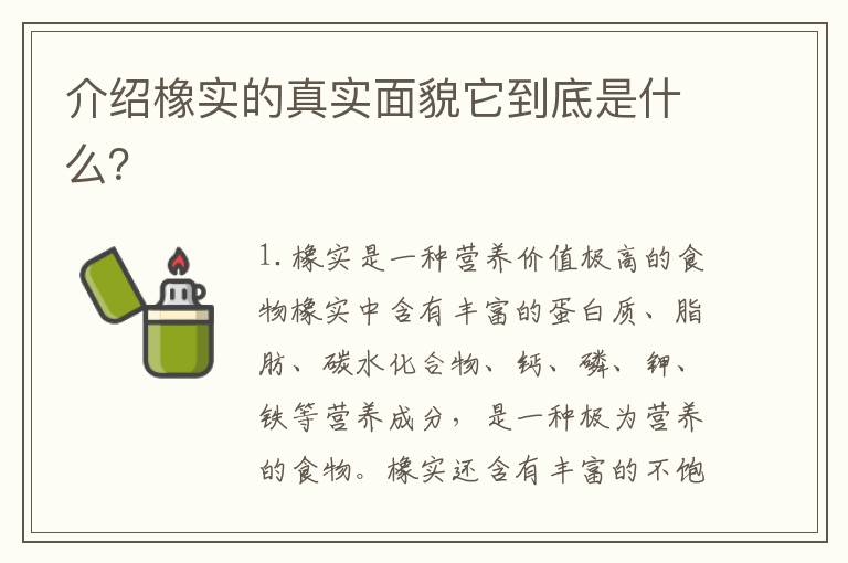 介紹橡實的真實面貌它到底是什么？
