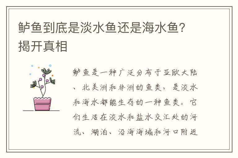 鱸魚到底是淡水魚還是海水魚？揭開真相