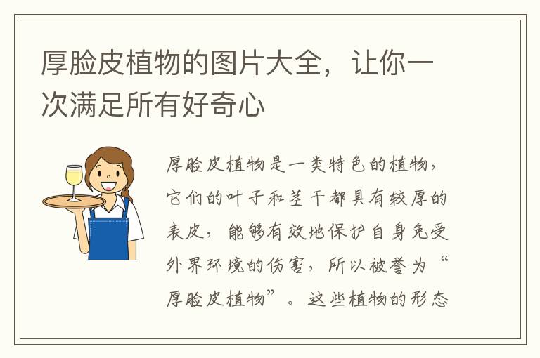 厚臉皮植物的圖片大全，讓你一次滿足所有好奇心