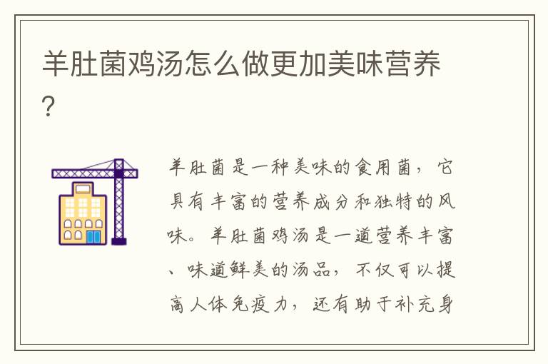 羊肚菌雞湯怎么做更加美味營養？