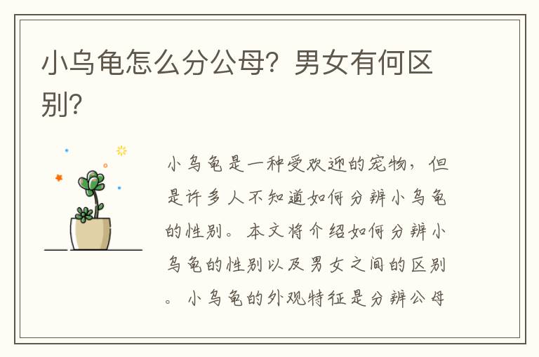 小烏龜怎么分公母？男女有何區(qū)別？