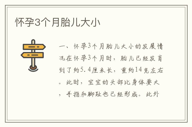 懷孕3個月胎兒大小