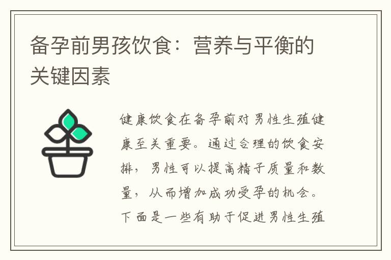備孕前男孩飲食：營(yíng)養(yǎng)與平衡的關(guān)鍵因素