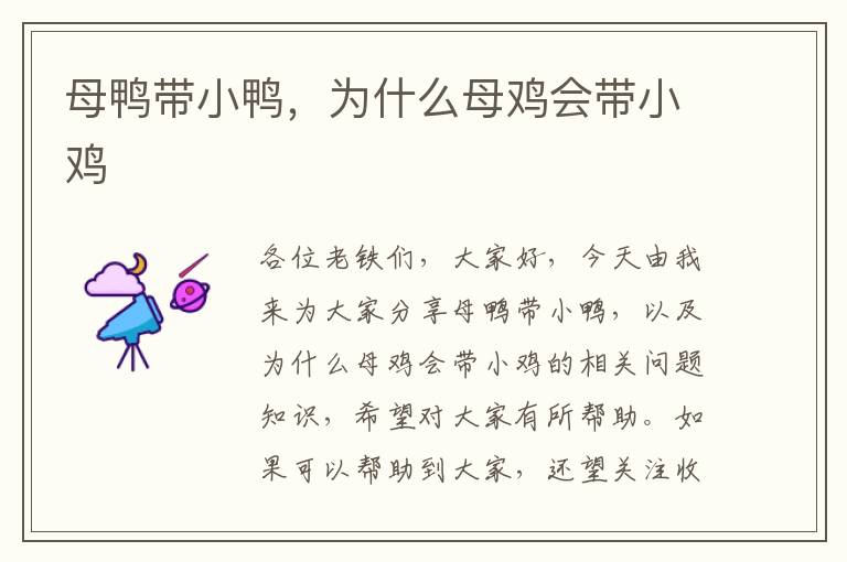 母鴨帶小鴨，為什么母雞會帶小雞