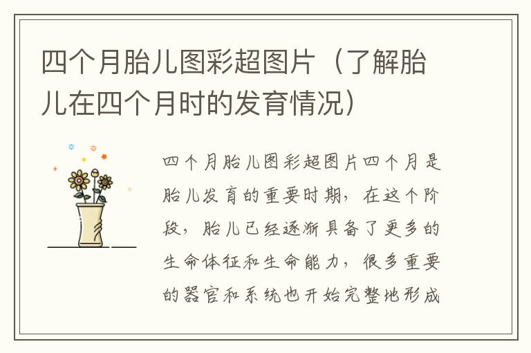 四個月胎兒圖彩超圖片（了解胎兒在四個月時的發(fā)育情況）