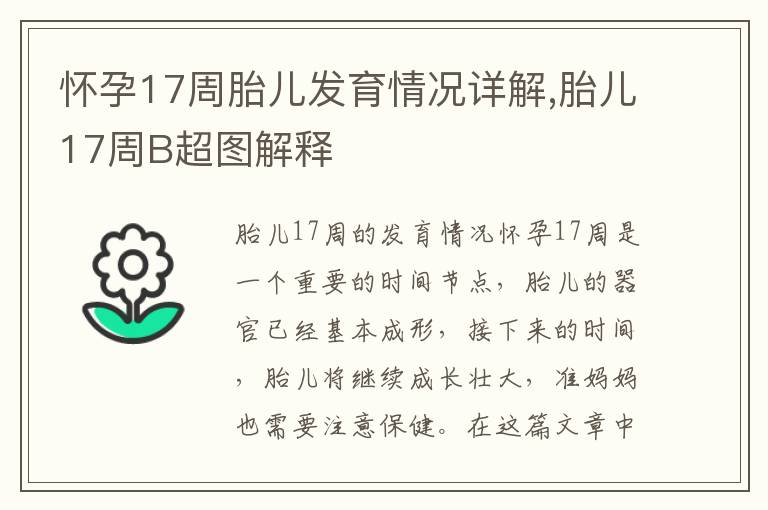 懷孕17周胎兒發育情況詳解,胎兒17周B超圖解釋