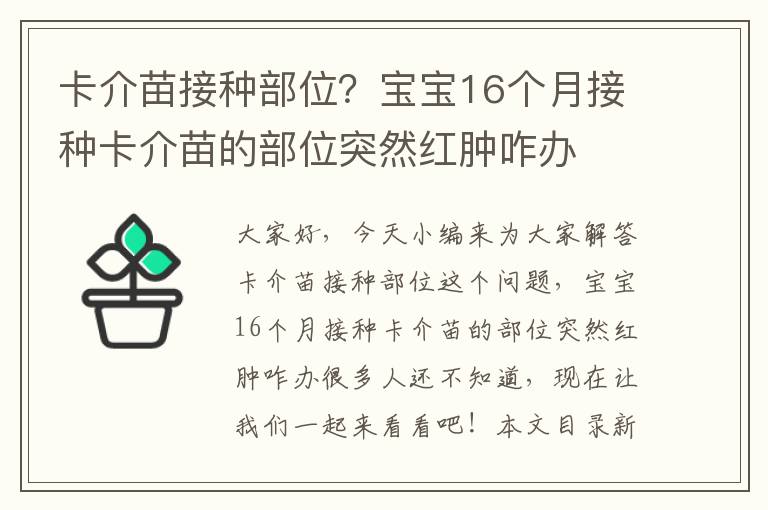 卡介苗接種部位？寶寶16個月接種卡介苗的部位突然紅腫咋辦