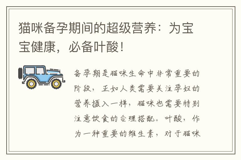 貓咪備孕期間的超級(jí)營養(yǎng)：為寶寶健康，必備葉酸！