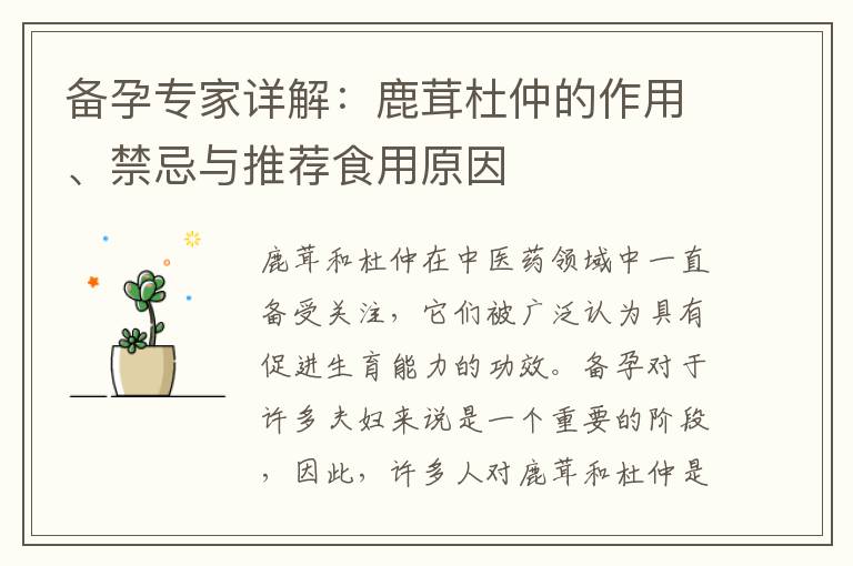 備孕專家詳解：鹿茸杜仲的作用、禁忌與推薦食用原因
