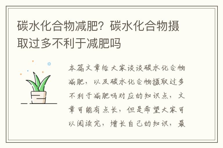 碳水化合物減肥？碳水化合物攝取過多不利于減肥嗎