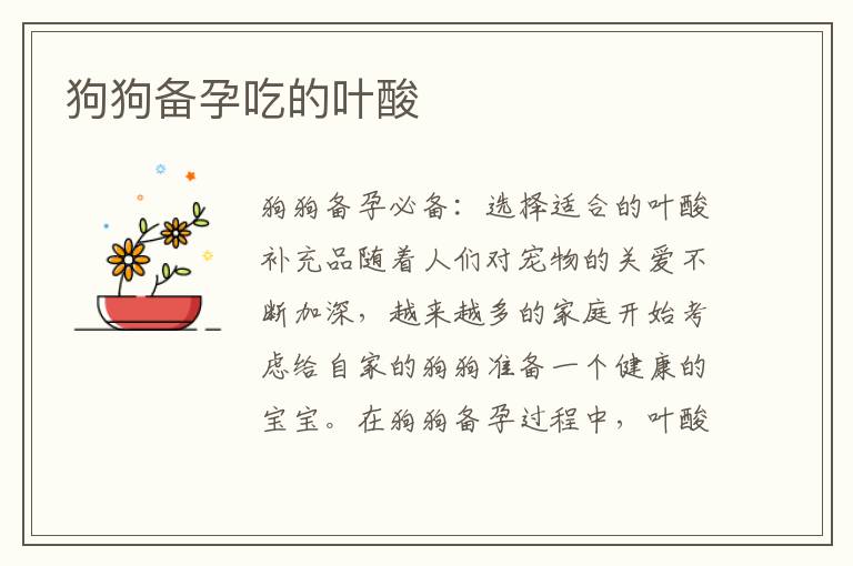 狗狗備孕吃的葉酸