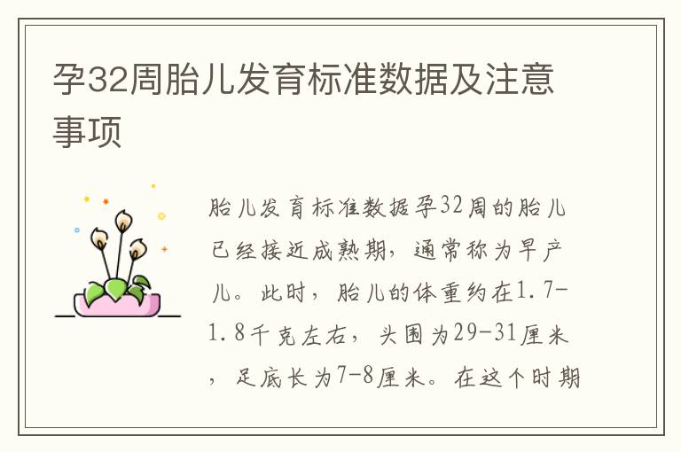 孕32周胎兒發育標準數據及注意事項