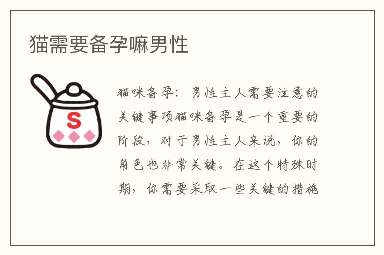 貓需要備孕嘛男性