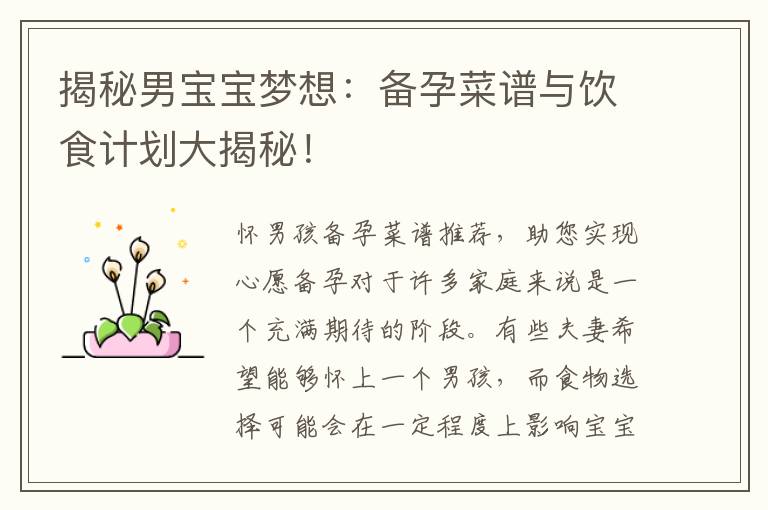 揭秘男寶寶夢想：備孕菜譜與飲食計劃大揭秘！