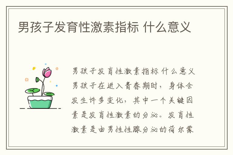 男孩子發(fā)育性激素指標 什么意義