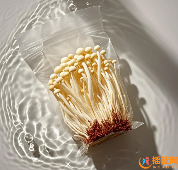 炒金針菇的家常做法
